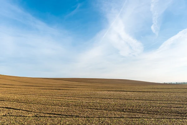 Malowniczej, zielonej okolicy w miejscowości Cortona, Toskania — Zdjęcie stockowe