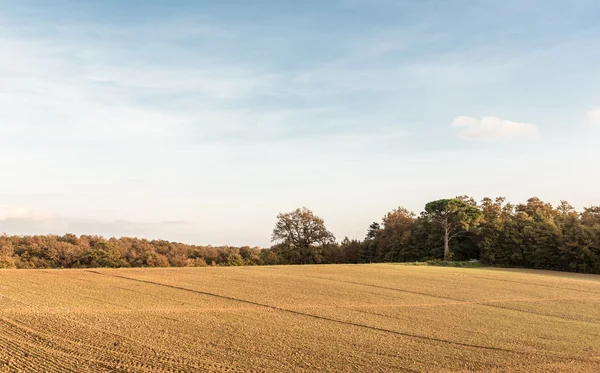 A campanha de Lucignano — Fotografia de Stock