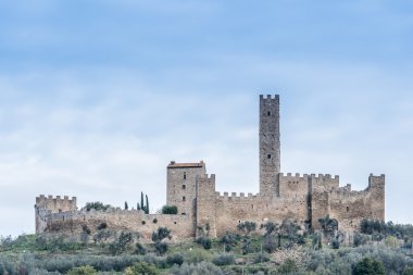 montecchio vesponi Kalesi