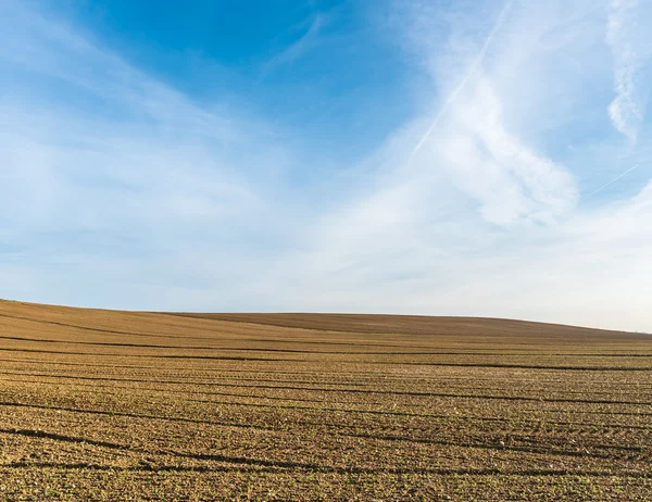 O campo verde em Cortona, Toscana — Fotografia de Stock