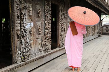 Pembe bayan keşiş Myanmar