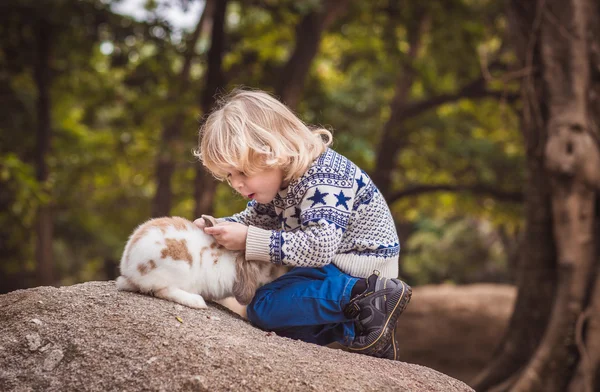 Мальчик и кролик Лицензионные Стоковые Изображения
