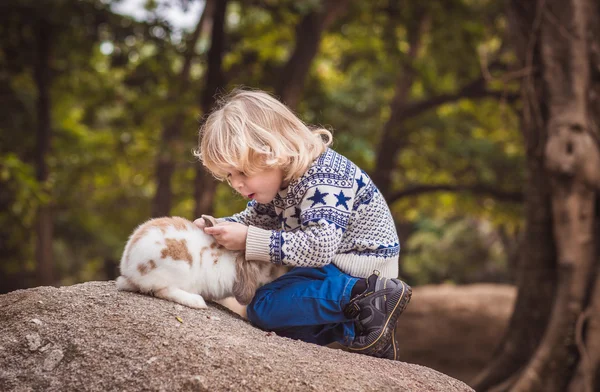 Niño y conejo Imágenes de stock libres de derechos