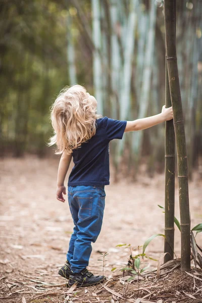 Menino loiro em uma floresta de bambu — Fotografia de Stock
