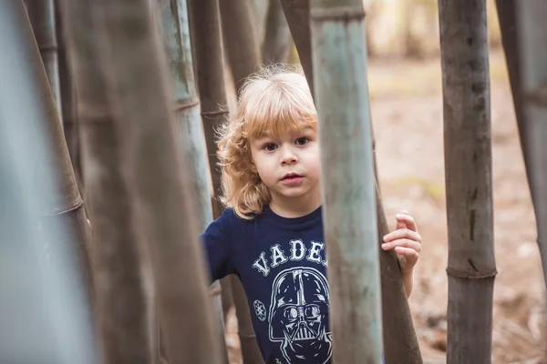 Blond boy in a bamboo forest — Stock Photo, Image