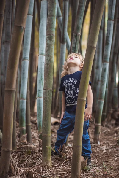 Niño rubio en un bosque de bambú — Foto de Stock