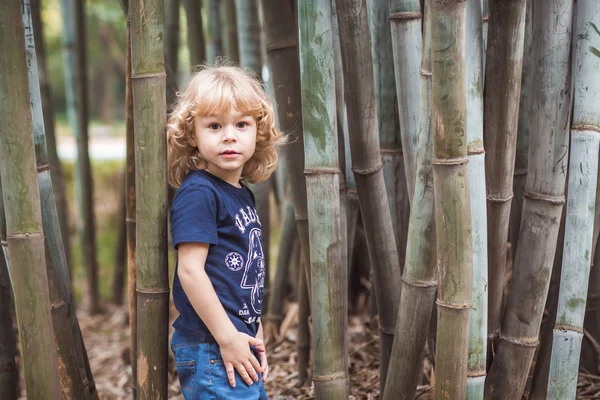 Blond boy in a bamboo forest — Stock Photo, Image