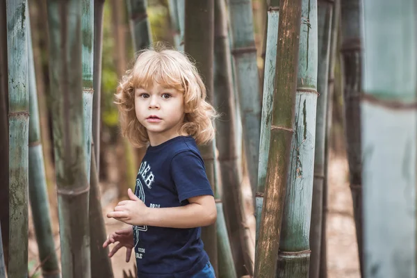 Blond boy in a bamboo forest — Stock Photo, Image