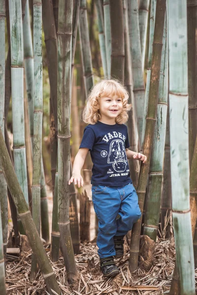 Блондин в бамбуковом лесу — стоковое фото