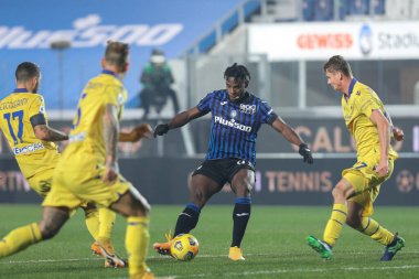 İtalya, Bergamo, 28 Kasım 2020: Duvan Zapata (Atalanta forvet), ATALANTA-HELLAS VERONA, Serie A 2020-2021 gün 9, Gewiss Stadyumu 'nda oynanan futbol maçının ilk yarısındaki kalama vuruşlarını yaptı.