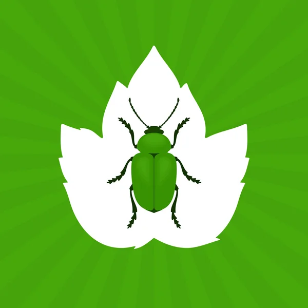 Yeşil böceği vektör çizim