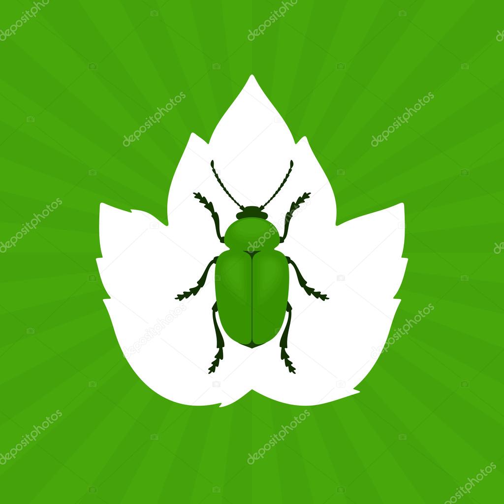 Green Beetle Vector Illustration