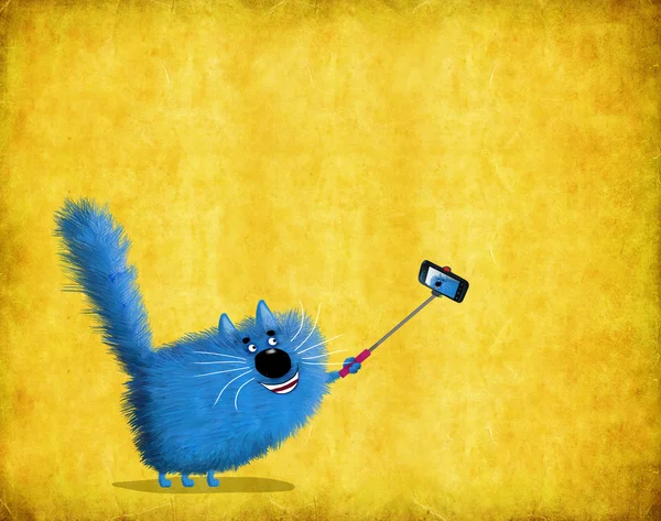 Gato azul tomando selfie en fondo pintado pared —  Fotos de Stock