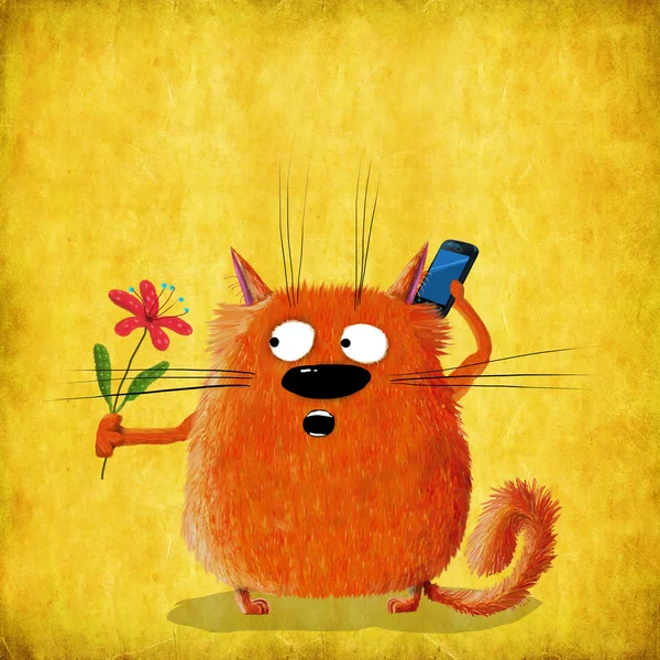 Rode kat Holding bloem en telefoon — Stockfoto