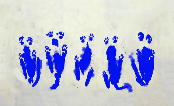 Cats 'Imprints On Canvas In Blue — Stok Foto