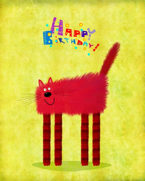 Gato de cartão de aniversário com pernas longas — Fotografia de Stock
