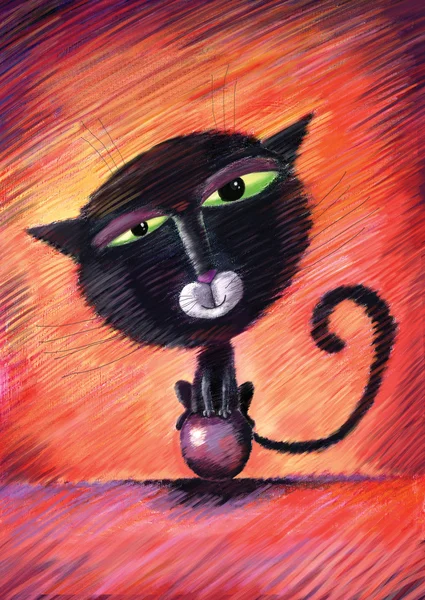 Clotilda kedi
