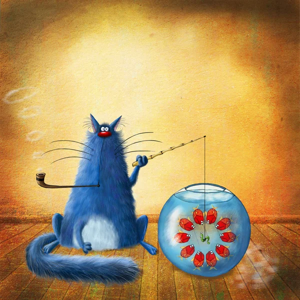 Aqua kedi