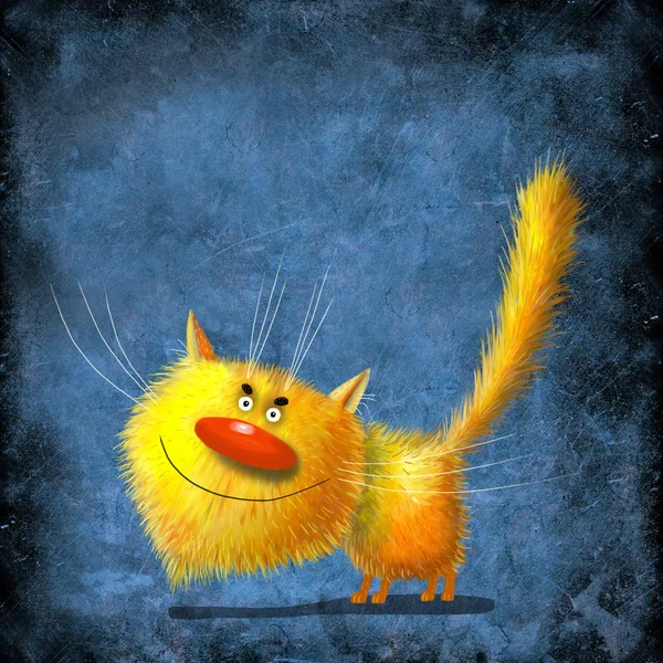 Žlutá kočka — Stock fotografie