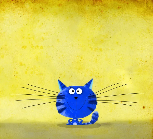 Siedzi niebieski kotek na żółtym tle — Zdjęcie stockowe