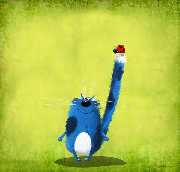Blauwe kat met lieveheersbeestje op staart — Stockfoto