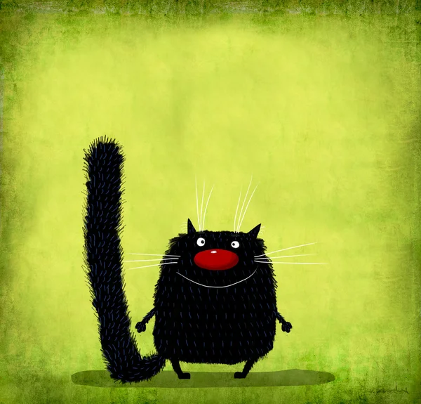 Черная пушистая кошка на светло-зеленом фоне — стоковое фото