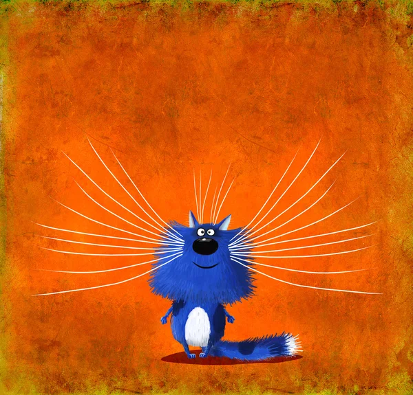 Gatito Whiskered azul sobre fondo naranja —  Fotos de Stock