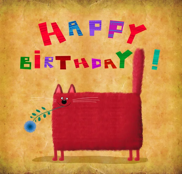 Feliz aniversário cartão quadrado vermelho gato — Fotografia de Stock