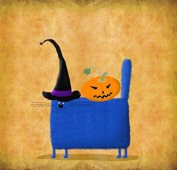 파란 마녀의 모자에 있는 고양이 — 스톡 사진