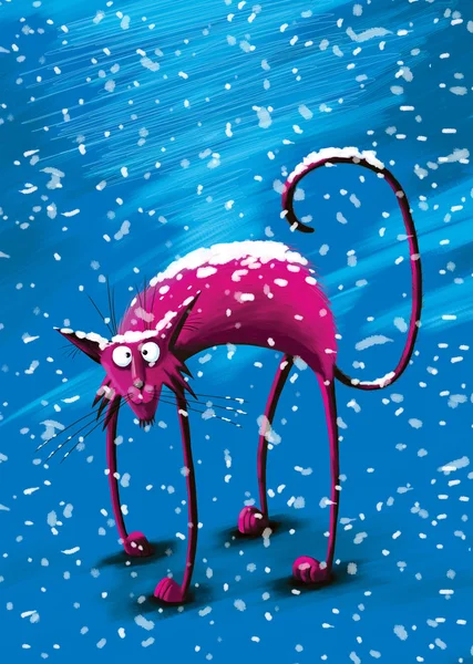Rózsaszín vékony macska a hóban — Stock Fotó