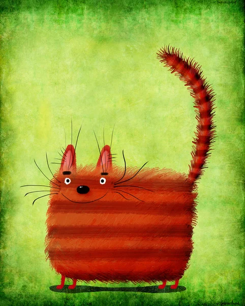 Gato Vermelho Quadrado em Fundo Verde — Fotografia de Stock