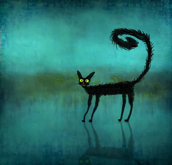 Gato preto Reverberante em fundo liso — Fotografia de Stock