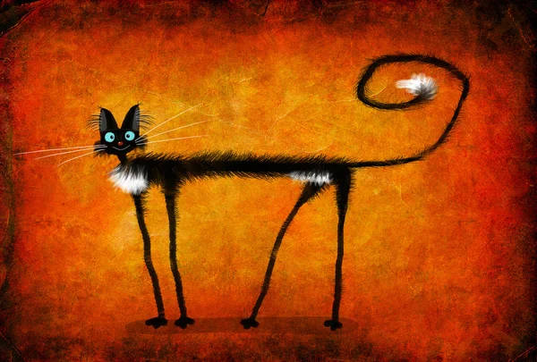 Dünne schwarze Katze auf braunem Hintergrund — Stockfoto