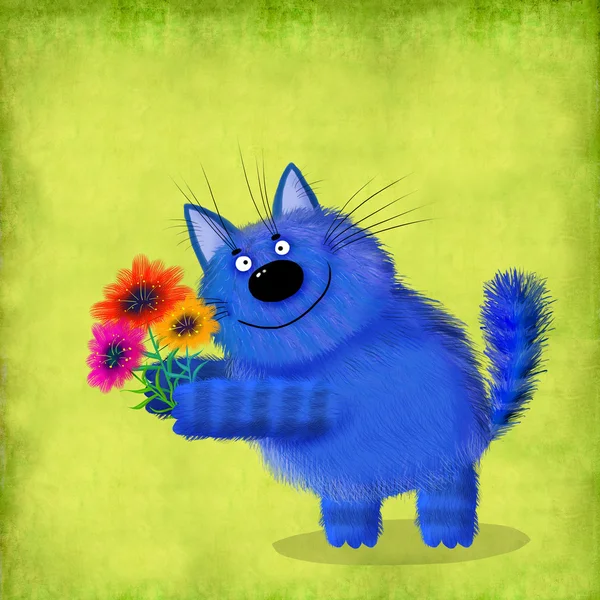 Blaue flauschige Katze mit drei Blumen — Stockfoto