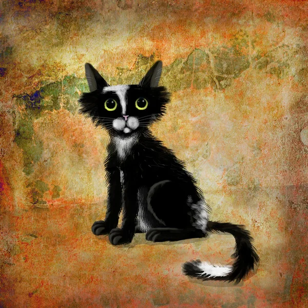 Gatinho preto no fundo parede pintada — Fotografia de Stock