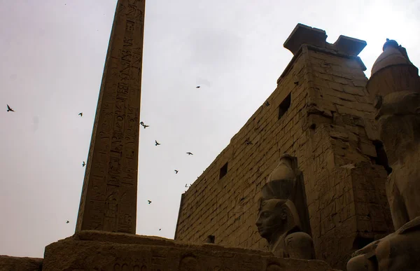 Ramszesz Szobra Obeliszk Luxor Templomában — Stock Fotó