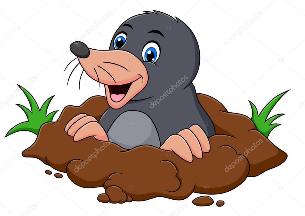 Cute Mole animal cartoon vector illustration