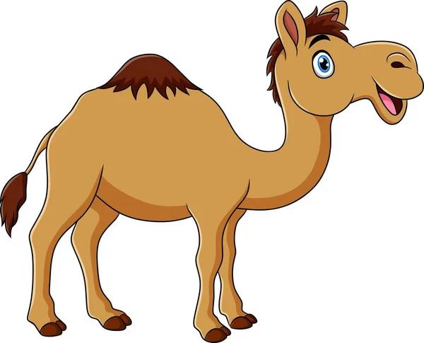 Lindo Camello Animal Dibujo Animado Ilustración — Vector de stock