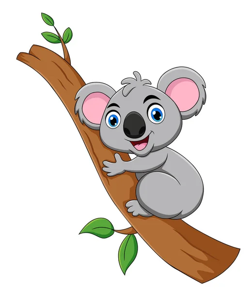 Leuke Koala Cartoon Dier Vector Illustratie — Stockvector