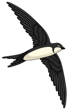 Cute Swift bird cartoon vector illustration clipart