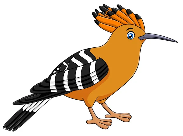Cute Hoopoe Ptak Kreskówki Wektor Ilustracji — Wektor stockowy