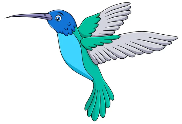 Lindo Colibríes Ilustración Vector Dibujos Animados — Archivo Imágenes Vectoriales