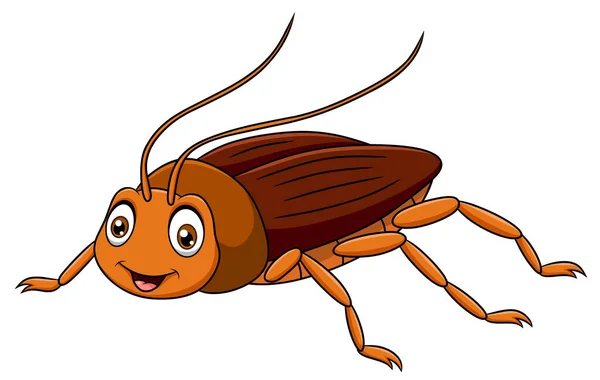 Lindo Vector Dibujos Animados Cucaracha Ilustración — Vector de stock