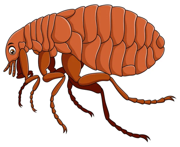 Lindo Insecto Pulga Ilustración Vector Dibujos Animados — Vector de stock