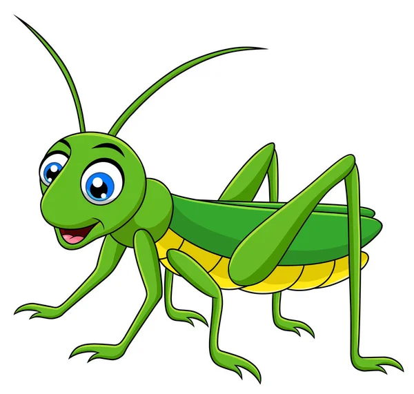 Bonito Grasshopper Desenho Animado Ilustração Vetorial —  Vetores de Stock