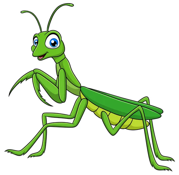 Leuke Mantis Cartoon Vector Illustratie — Stockvector