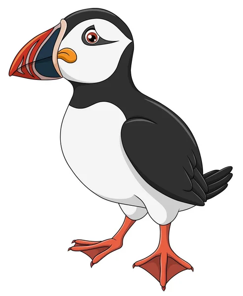 Bonito Atlantic Puffin Cartoon Vector Ilustração — Vetor de Stock