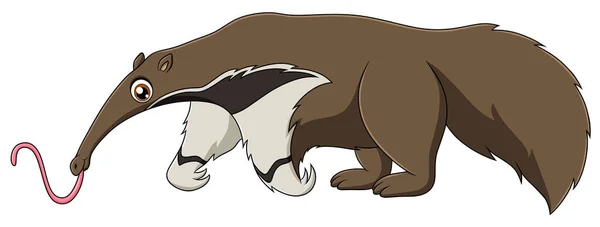 Cute Anteater Cartoon Vector Ilustração — Vetor de Stock