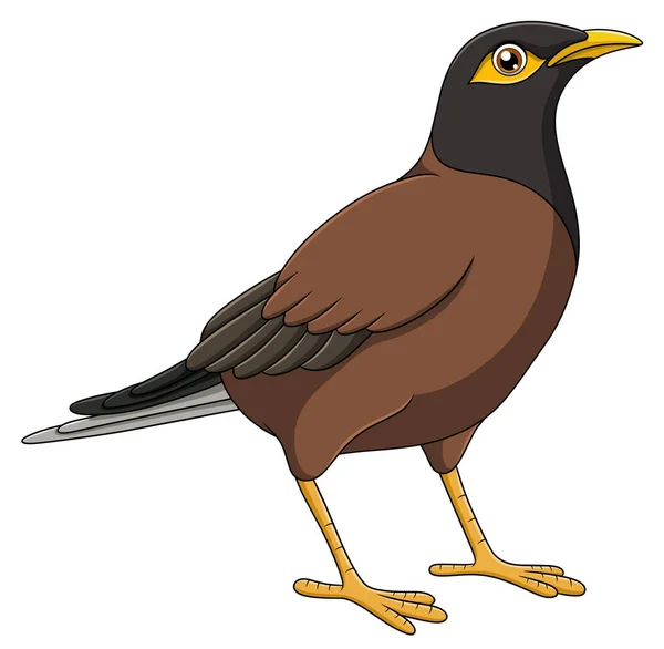 Cute Myna Bird Cartoon Vector Illustration — Stock Vector