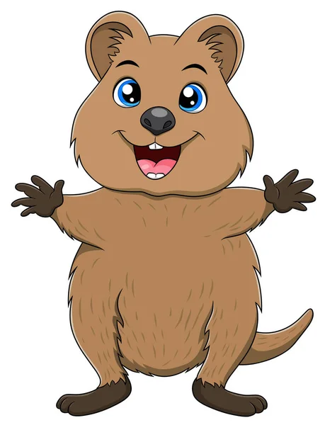 Illustration Vectorielle Dessin Animé Animal Quokka Mignon — Image vectorielle